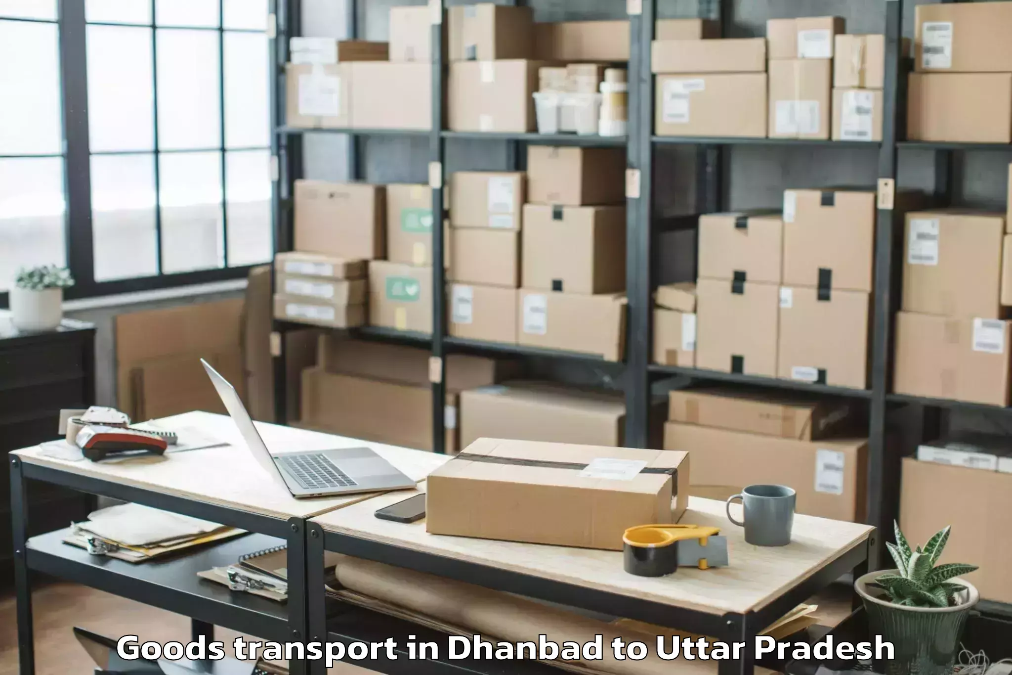 Reliable Dhanbad to University Of Lucknow Lucknow Goods Transport